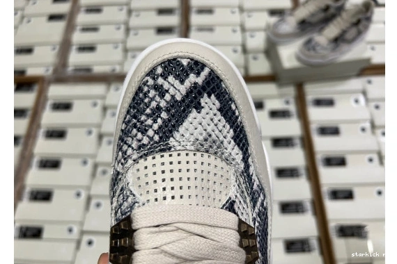 Retro  Snakeskin  819139-030 819139-030 Jordan 4  0923
